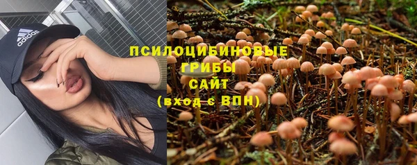 ECSTASY Абаза
