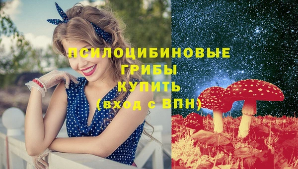 ECSTASY Абаза