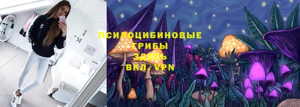 ECSTASY Абаза