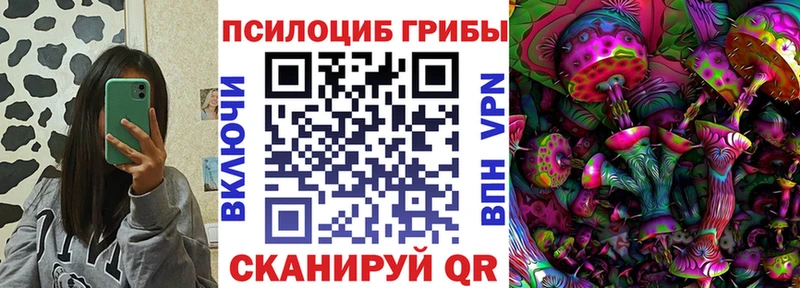 что такое   Жердевка  блэк спрут рабочий сайт  Галлюциногенные грибы GOLDEN TEACHER 